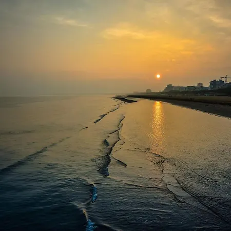 Enjoy The Sun From The Terrace Of Our Daire