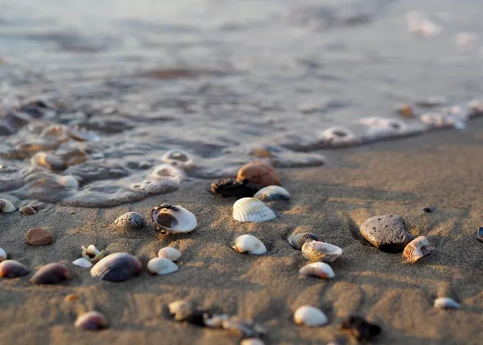 Enjoy The Sun From The Terrace Of Our Μπιμπιόνε